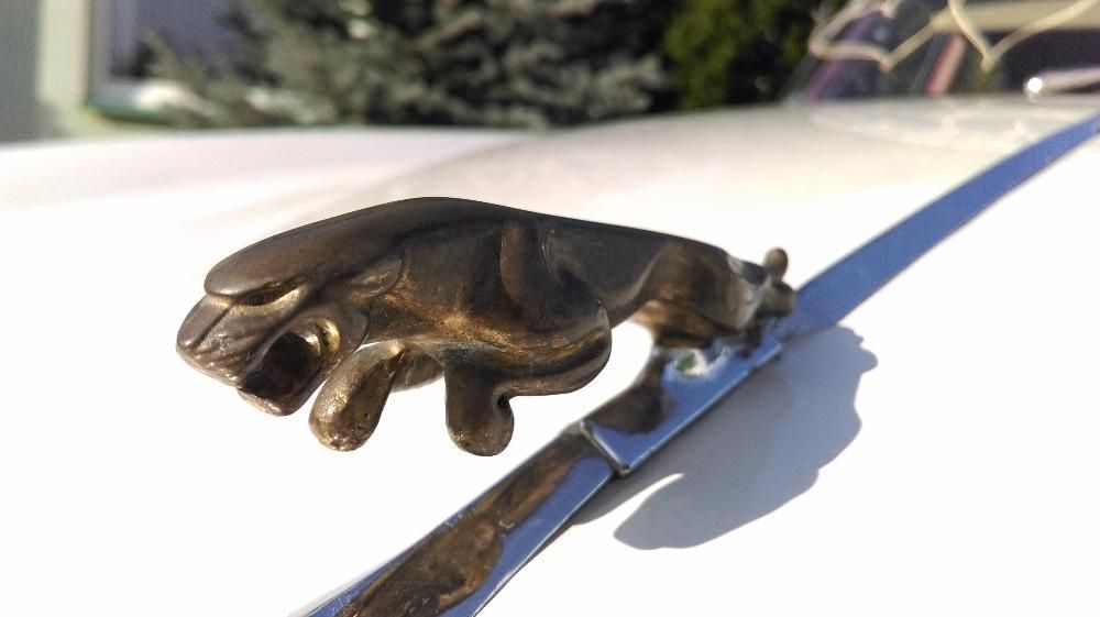 Zabytkowy samochód auto Jaguar na ślub, wesele