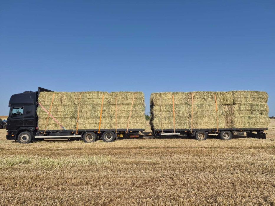 Feno de Prado para Cavalos, Alentejo e França