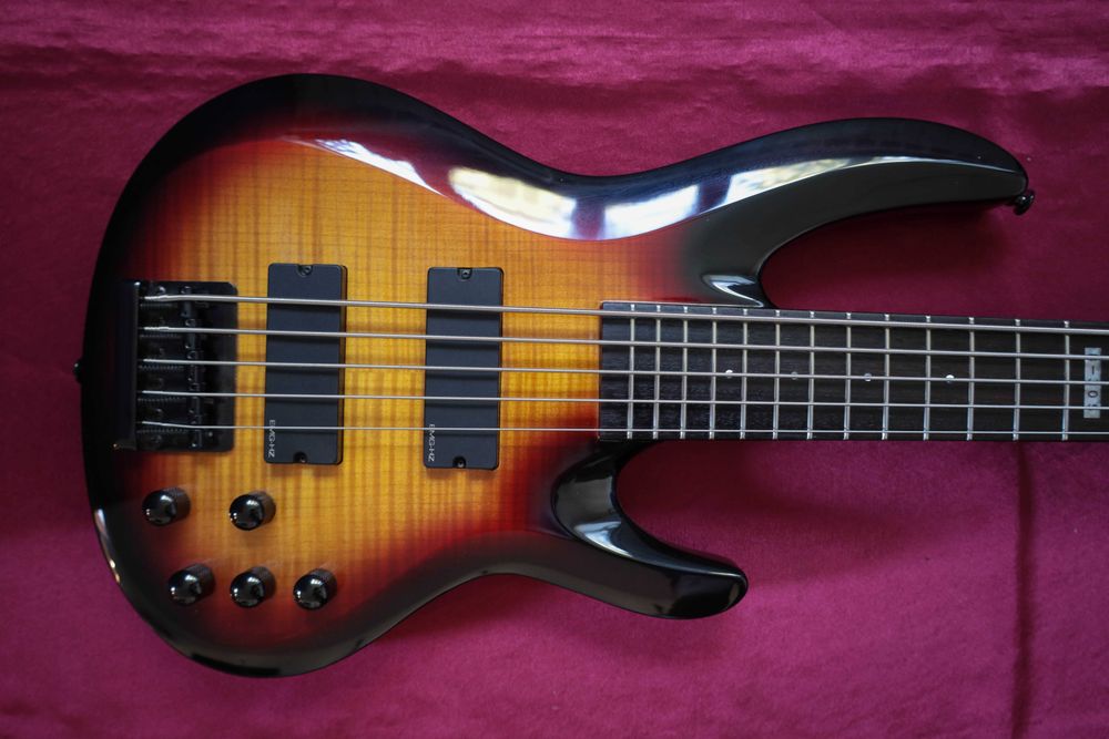 ESP LTD B305 із кейсом