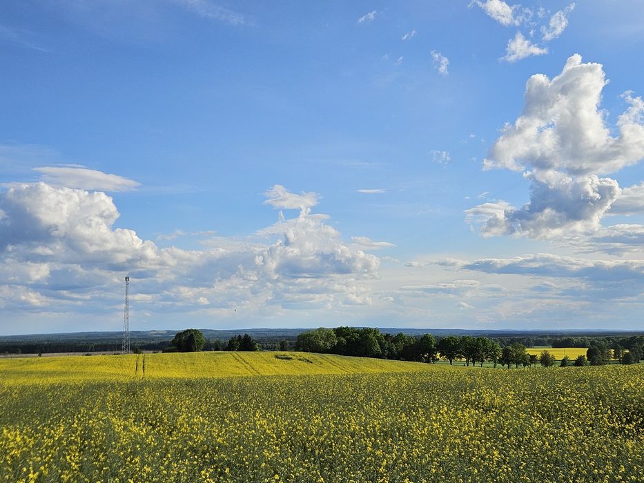 Działki budowlane Trzebicko