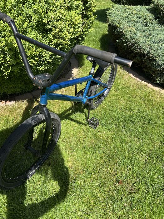 Bmx galaxy early bird