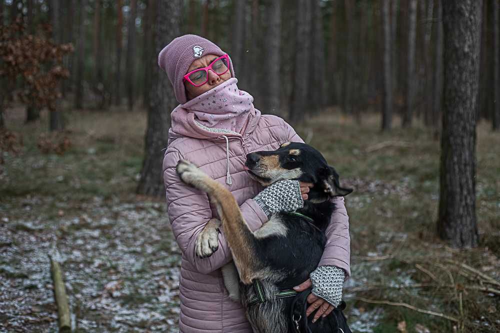 Pluto - duży, zwariowany, energiczny psiak szuka fajnego człowieka