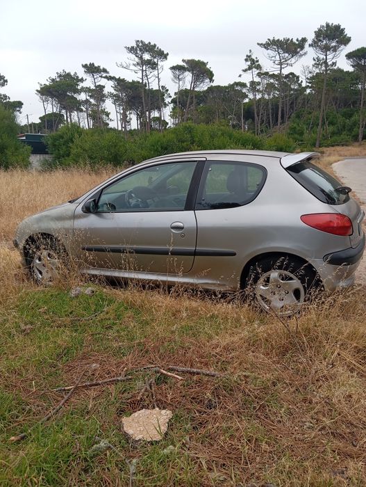 Peugeot 206 gasolina