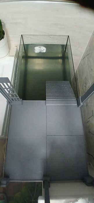 Wyspa dla żółwia