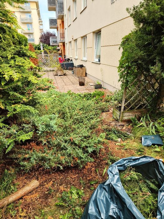 Gdynia i okolice- wiosenne przygotowanie ogrodu i posesji + mycie