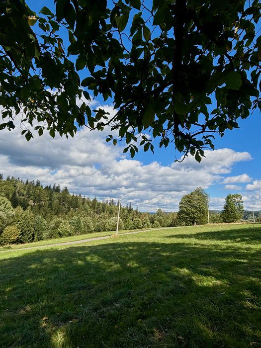 Działka na sprzedaż - 1288 m² w Pewelce | Uzbrojona | Malownicze tereny górskie