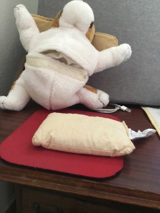 Cãozinho peluche com saquinho sementes