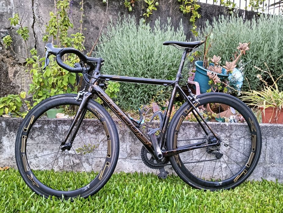 Bicicleta Focus Izalco Max 2016