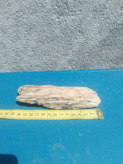 Troncos de deriva / para aquário