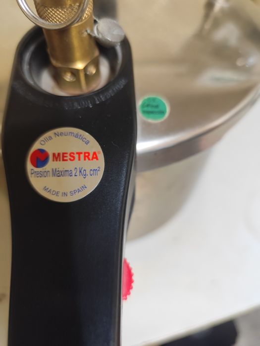 Panela de polimerização pneumática (mestra)