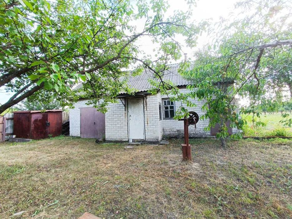 Продам дом-дачу с. Задонецкое (Дачное)