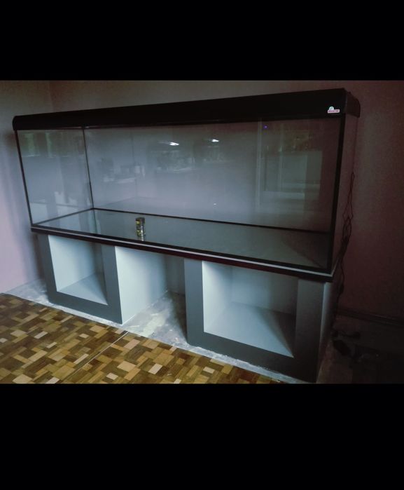 Akwarium  z akcesoriami  1070l, ryby  Frontosa
