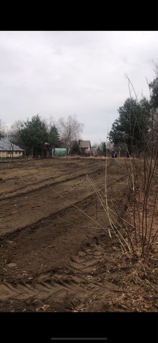 Mulczer Leśny Wycinka Rebak Rekultywacja