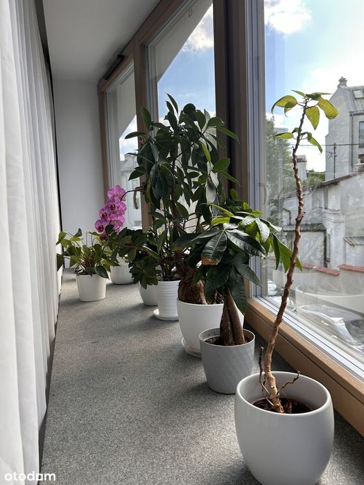 Apartament 3pok. , Jaworskiego , Osiedle Oficerskie Krakow – pohled 6