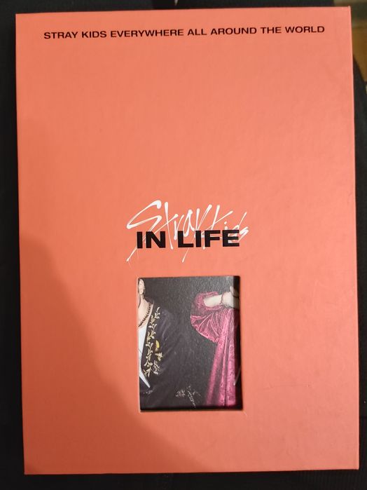 Stray Kids IN LIFE