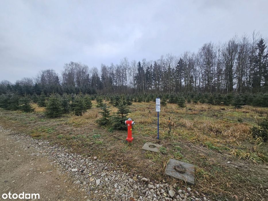 Działka budowlana o powierzchni 1141 m²