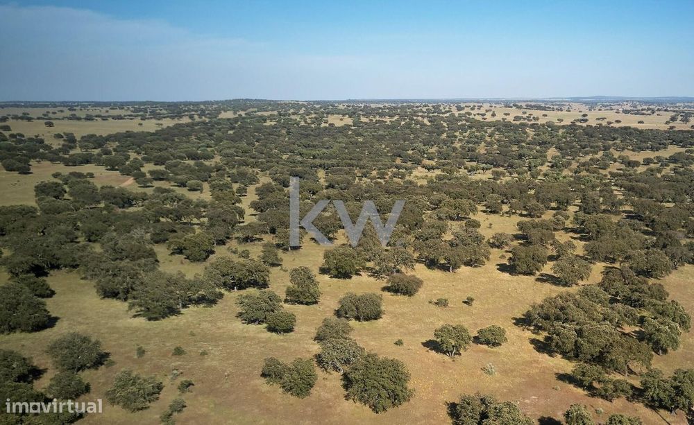 Quinta Para Venda Proximo De Estremoz