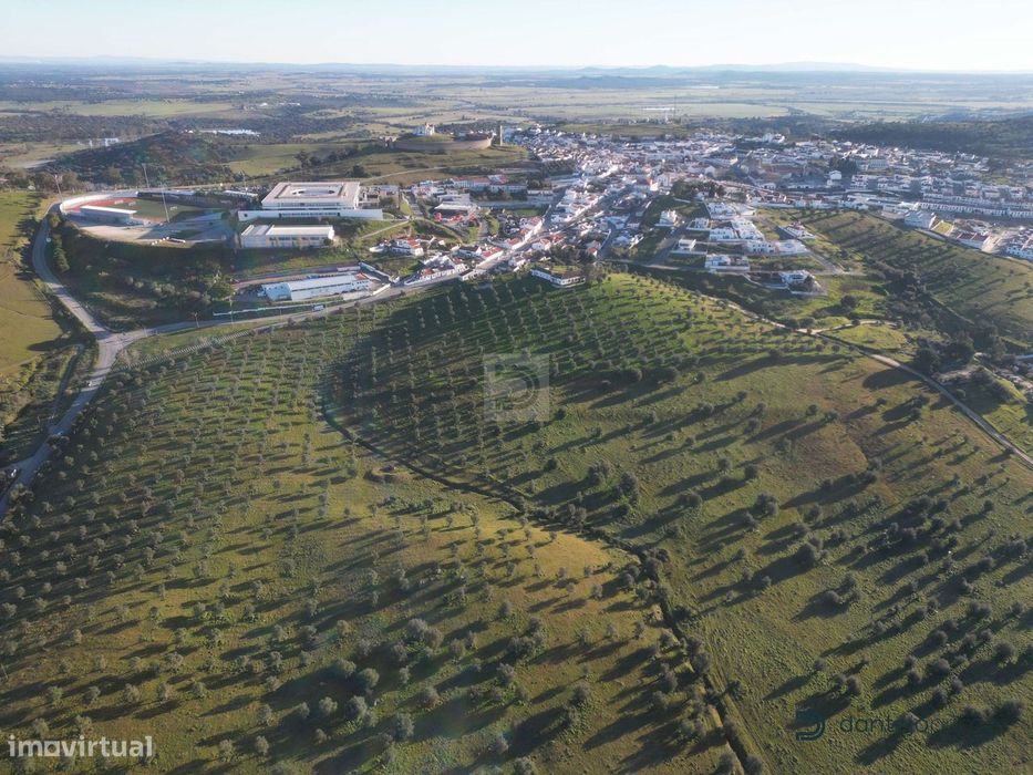 Herdade 11 ha junto ao Castelo de Arraiolos