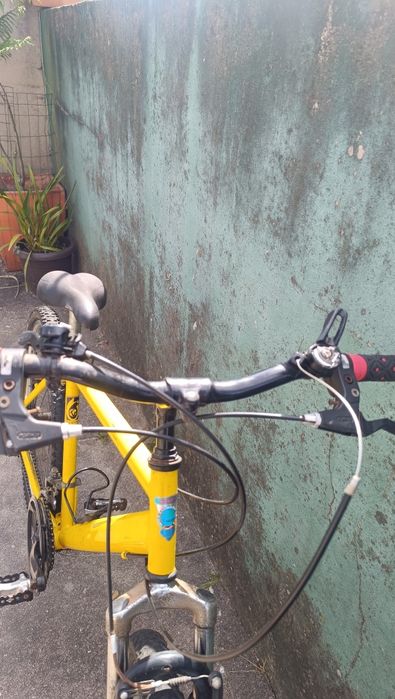 Bicicleta orbita