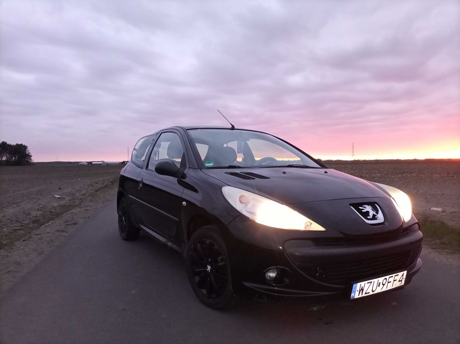 Peugeot 206+ 2010 1.4 benzyna