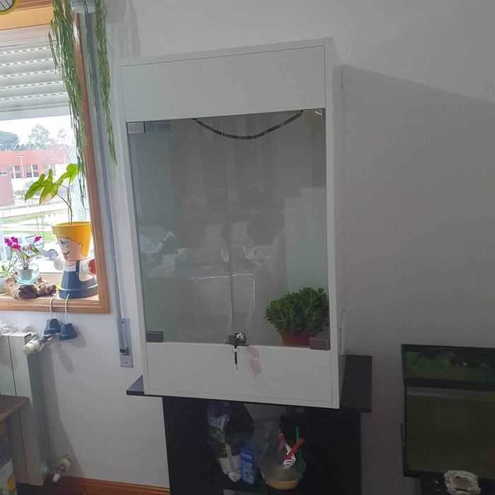 Terrarios por encomenda