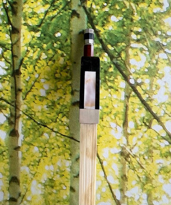 Violoncelo 4/4 seminovo