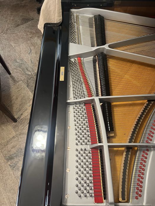Piano cauda 165 cm grande qualidade W.Hoffmann alemao
