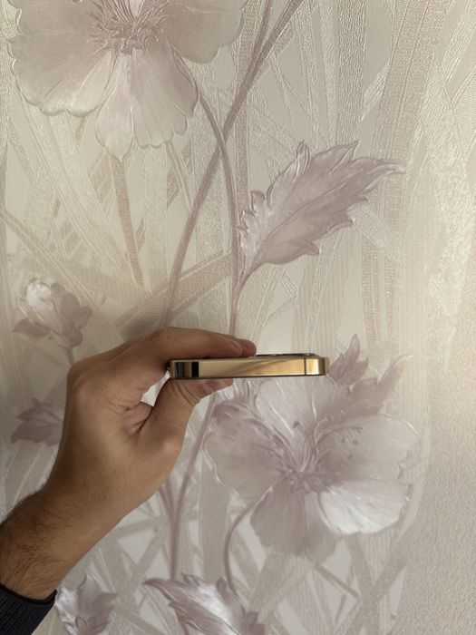 iPhone 12 Pro 256 GB