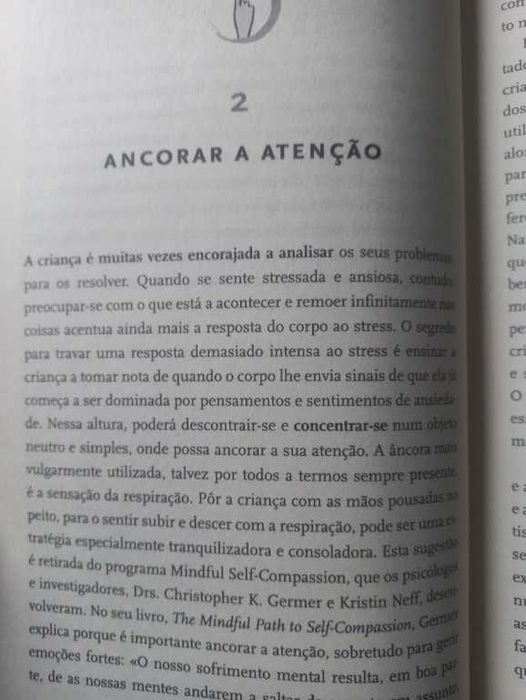 Jogos de Mindfulness - Susan Kaiser Greenland