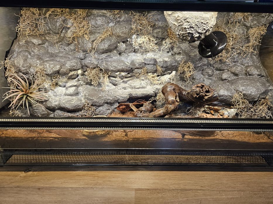 Renowacja/budowa terrarium