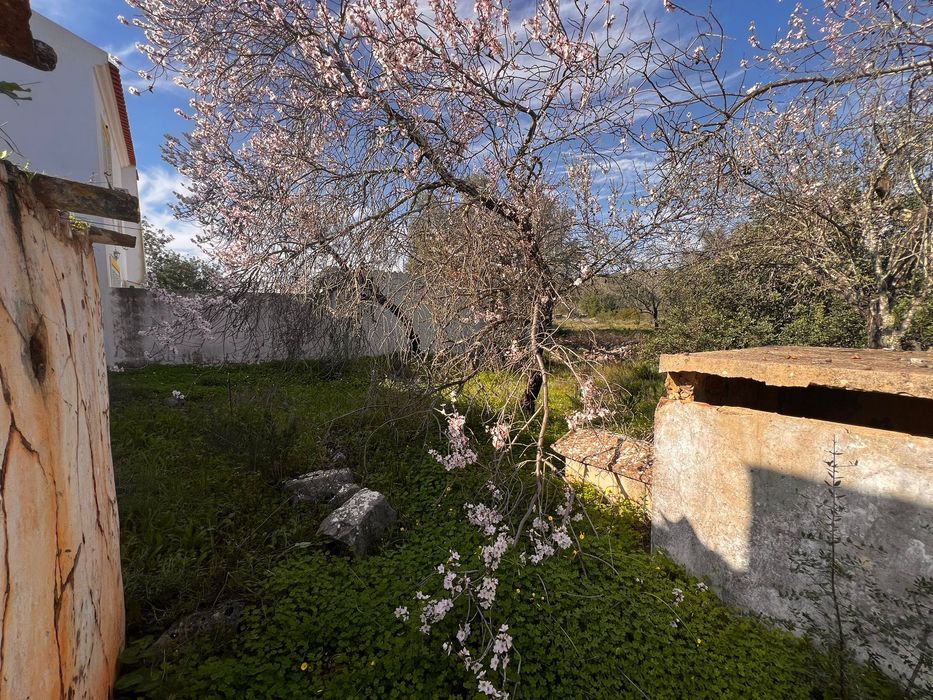 Terreno no Algarve