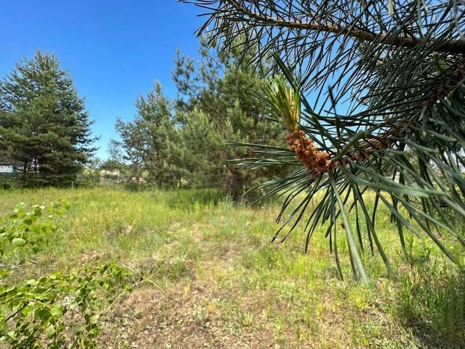Продаж ділянки 12 соток для садівництва. Електрика поруч. Біля озера. ID:829