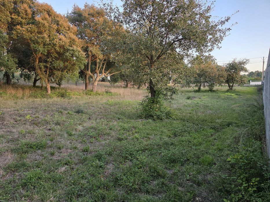 Terreno para Construção em Soutocico