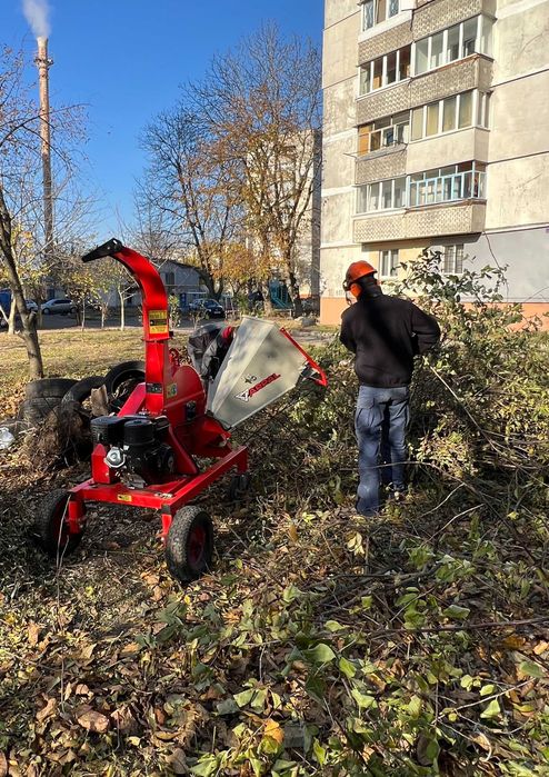Зрізати дерево, кронування, санітарна обрізка дерева