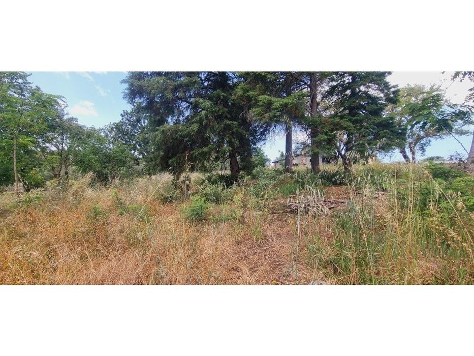 Terreno Venda Leiria