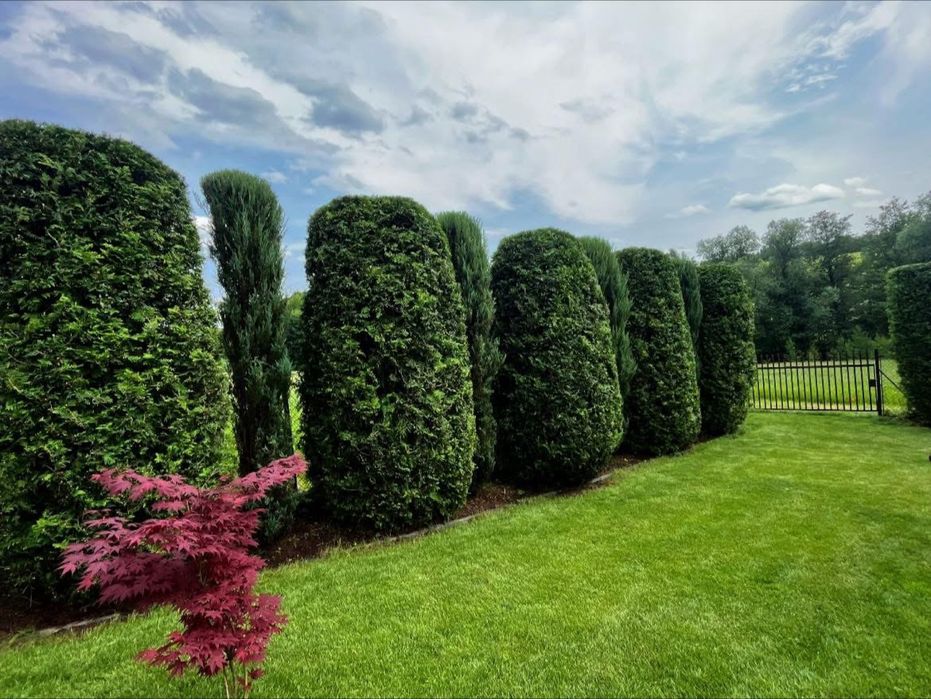Usługi ogrodnicze, przycinanie, koszenie, glebogryzarka, rębak Ustroń