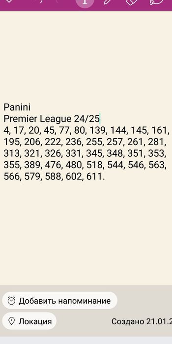 Premier League 24/25 Panini APL