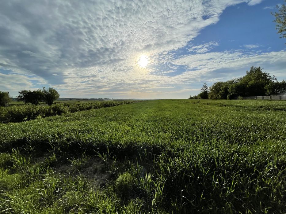 Sprzedam działkę rolno-budowlaną (Witów, gmina Irządze)