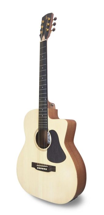 APC GA100CW aço elétrico violão