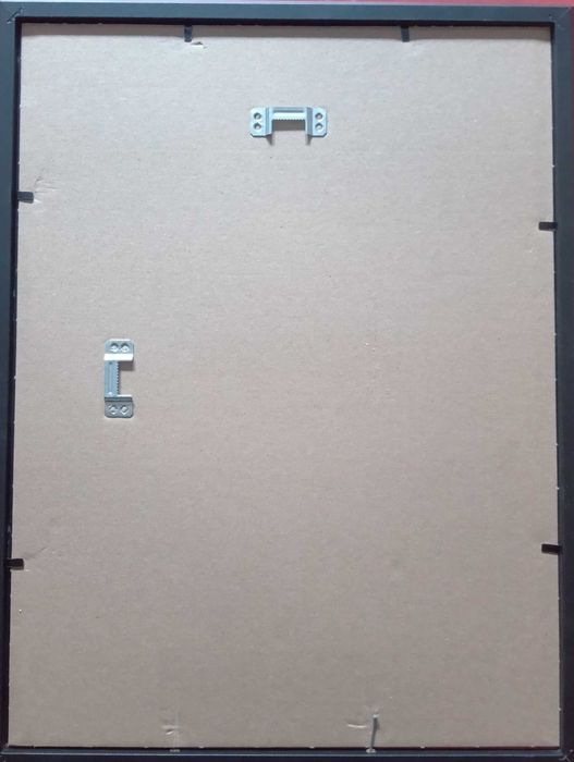 10 -  Obraz  marsz. Józef Piłsudski (30x40)