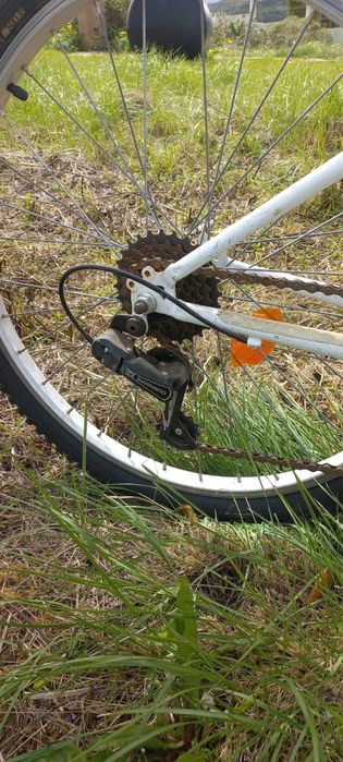 Bicicleta Rock Rider 24