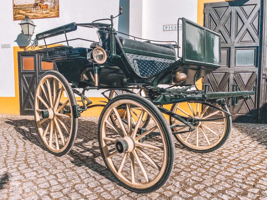 Charrete de cavalos - Break