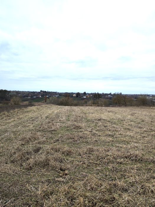= Терміново!!! Продам ділянку в Городищі