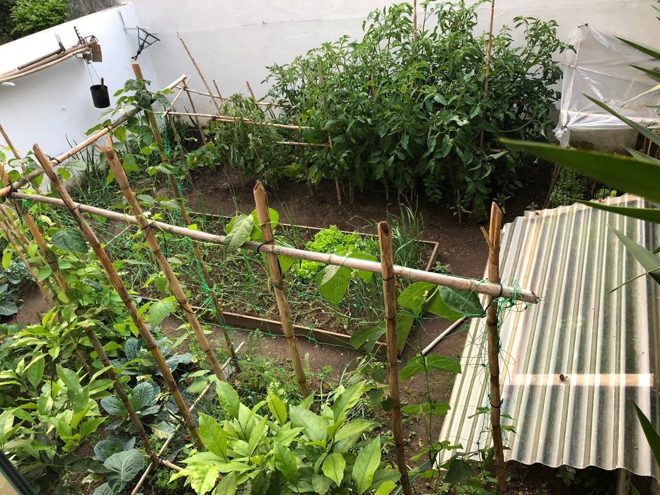 Jardineiro e limpeza de terrenos