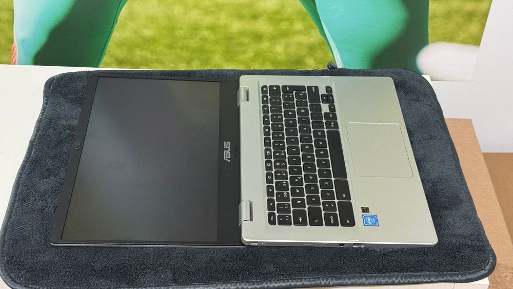Portátil Asus Chromebook C423N