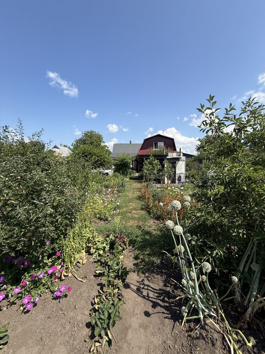 Продаж будинку с.Володимирівка . ( 6 км від Білої Церкви)