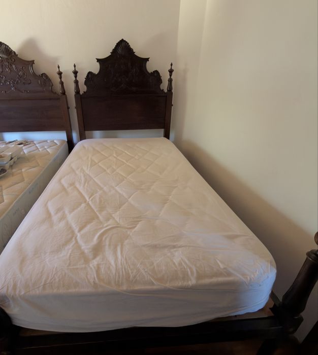 Cama de Pau Santo