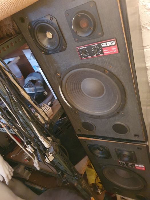 głośniki alphard 25cm 2 sztuki