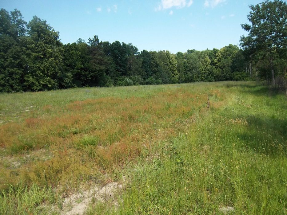 Продам приватизовану земельну ділянку