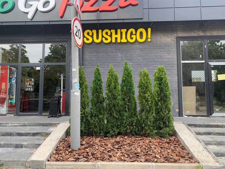 Продаж готовий бізнес Піцерія + Суші